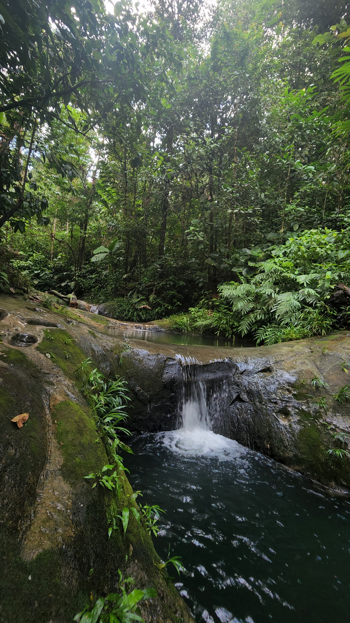 Cascadas de La Sierpe y Piscinas Naturales de las Tres Marías