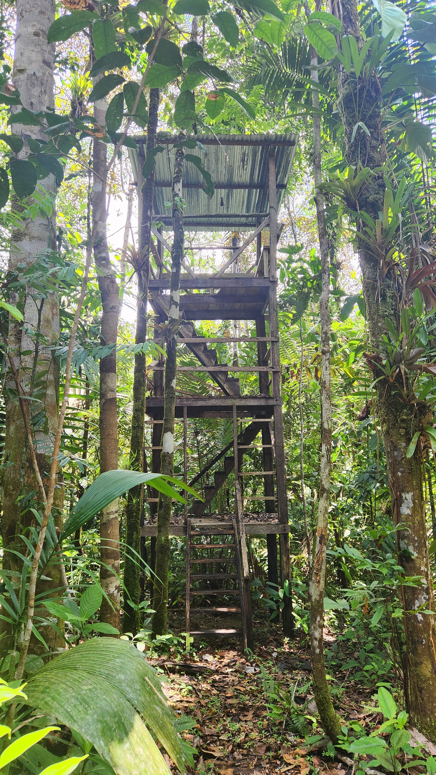 Sendero Los Tucanes. Visita Pueblos Negros de Miramar y La Sierpe.