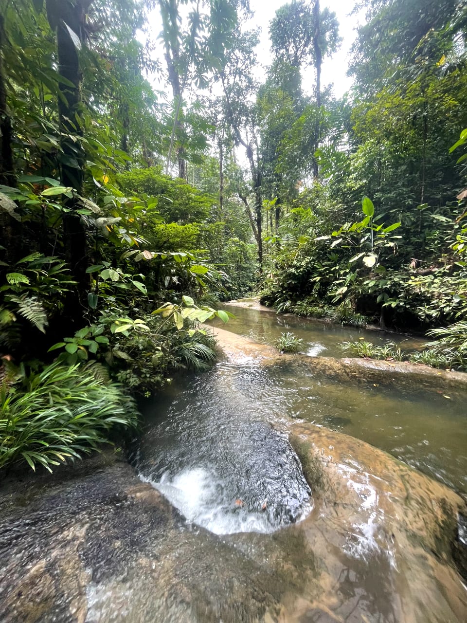Cascadas de La Sierpe y Piscinas Naturales de las Tres Marías